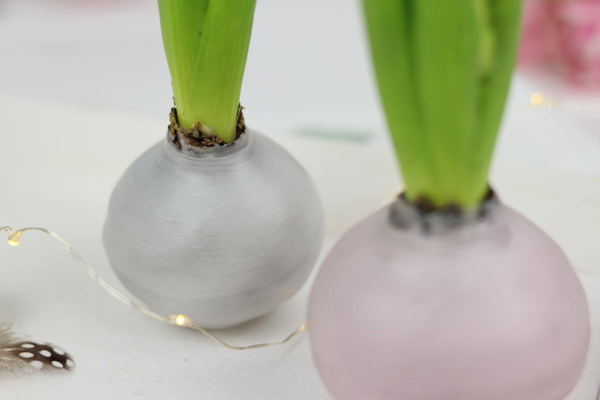 DIY selbstgemachte Hyazinthen in Wachs für den Frühling