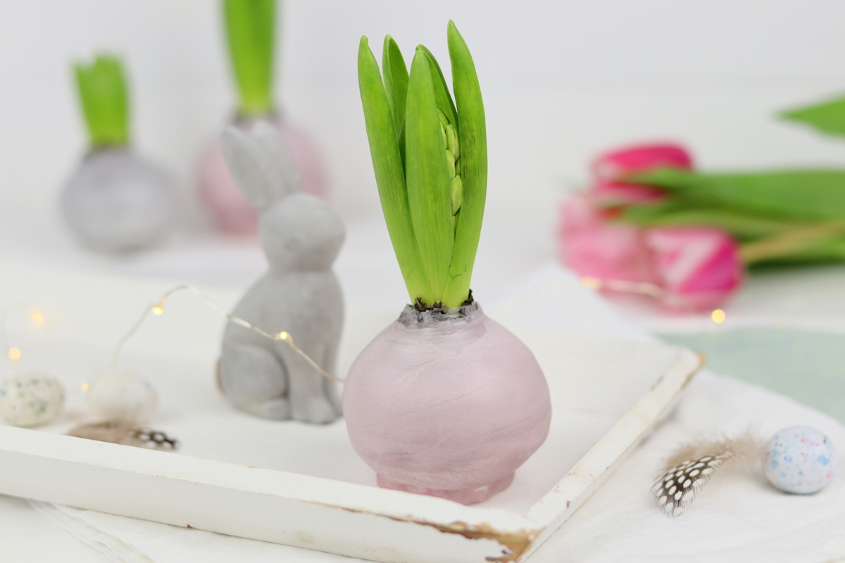 DIY selbstgemachte Hyazinthen in Wachs für den Frühling