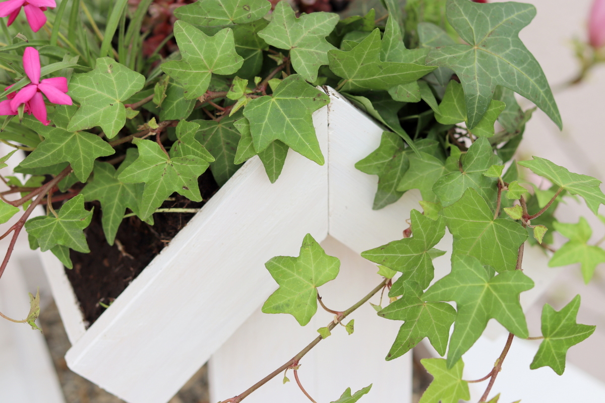 DIY selbstgebautes Vogelhaus mit bepflanzten Dach