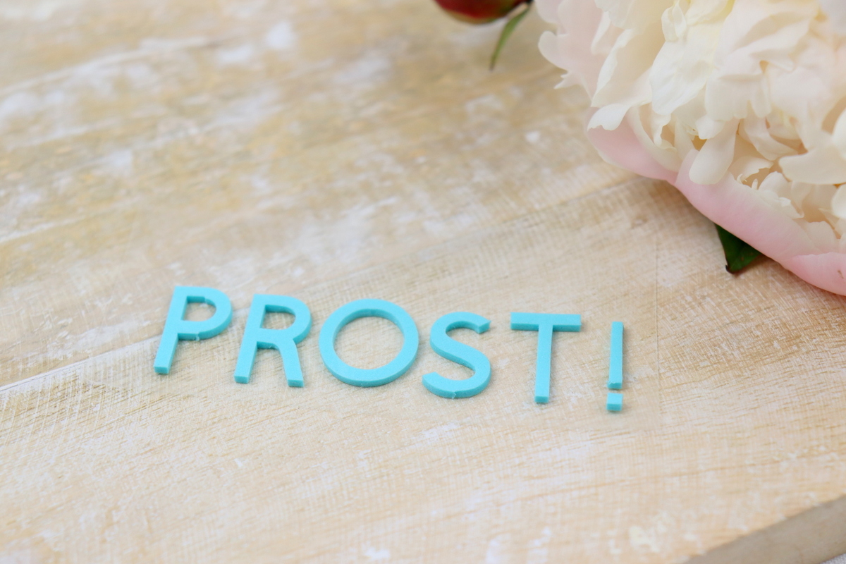 DIY selbstgemachte Untersetzer aus Raysin