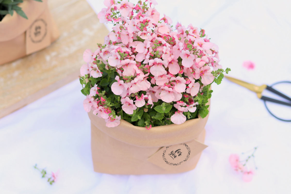 DIY - selbstgenähtes Utensilo aus Kunstleder als Blumentopf zum Verschenken, Aufbewahrungskorb oder Brotkorb