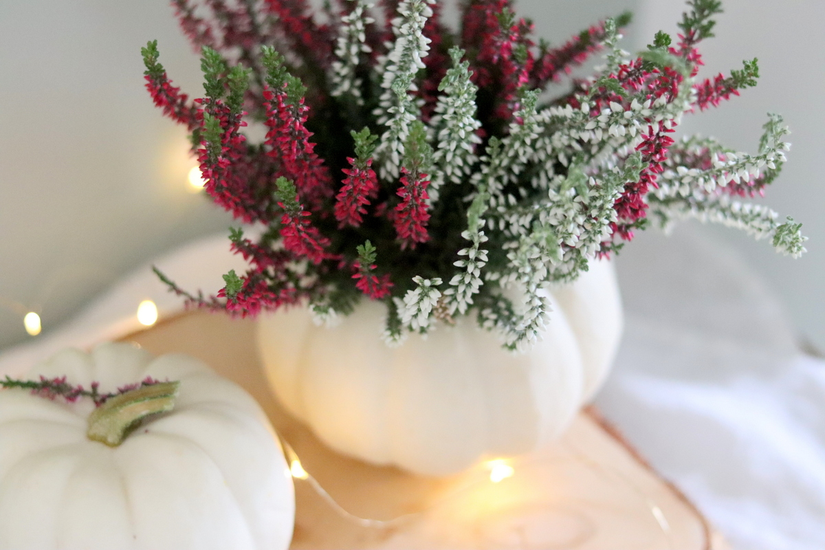 DIY Vase aus einem Kürbis / Kürbisvase einfach selber machen