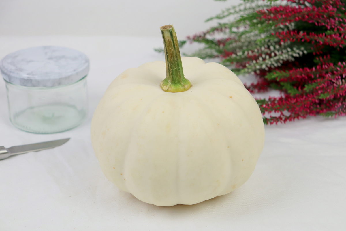 DIY Vase aus einem Kürbis / Kürbisvase einfach selber machen