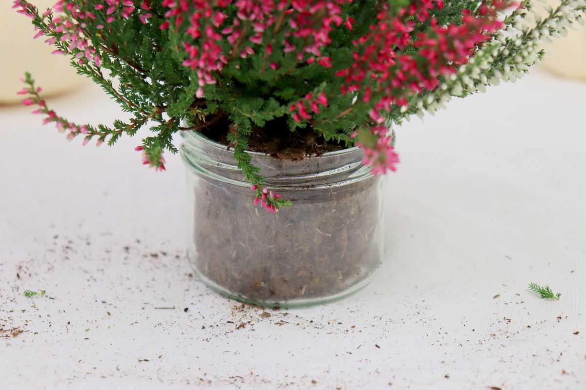 DIY Vase aus einem Kürbis / Kürbisvase einfach selber machen