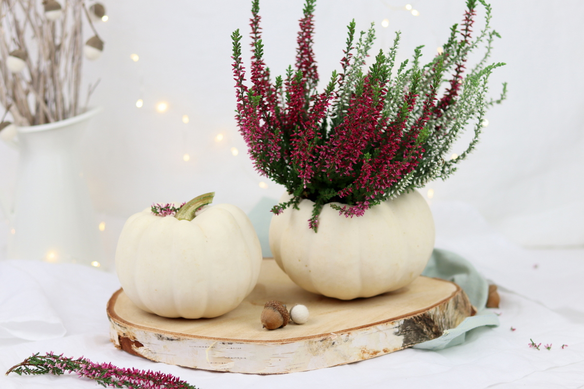 DIY Vase aus einem Kürbis / Kürbisvase einfach selber machen