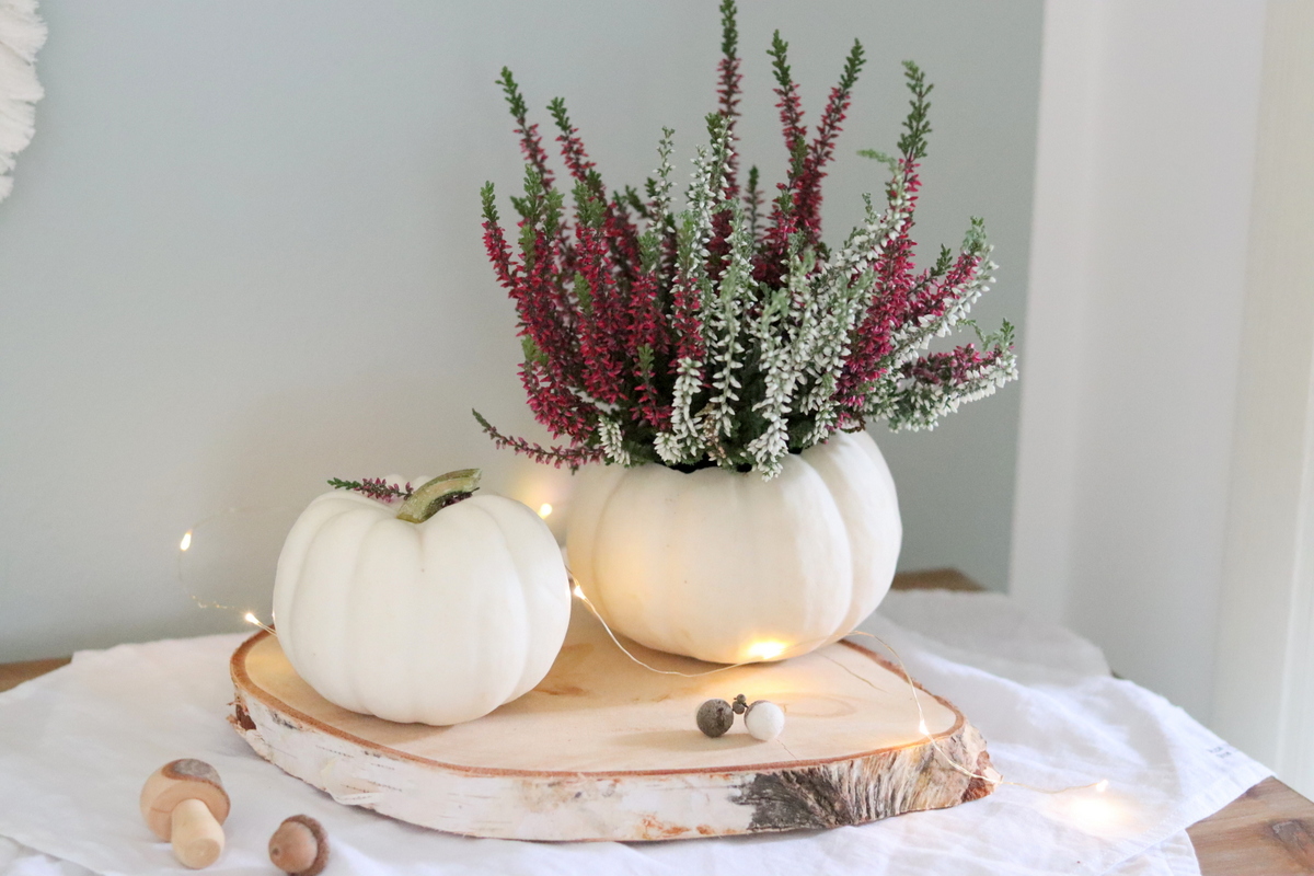 DIY Vase aus einem Kürbis / Kürbisvase einfach selber machen