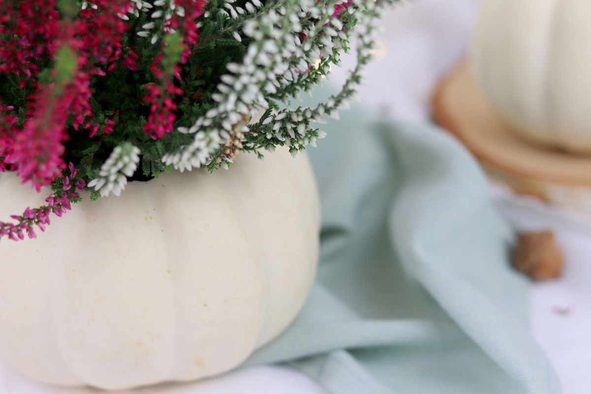 DIY Vase aus einem Kürbis / Kürbisvase einfach selber machen