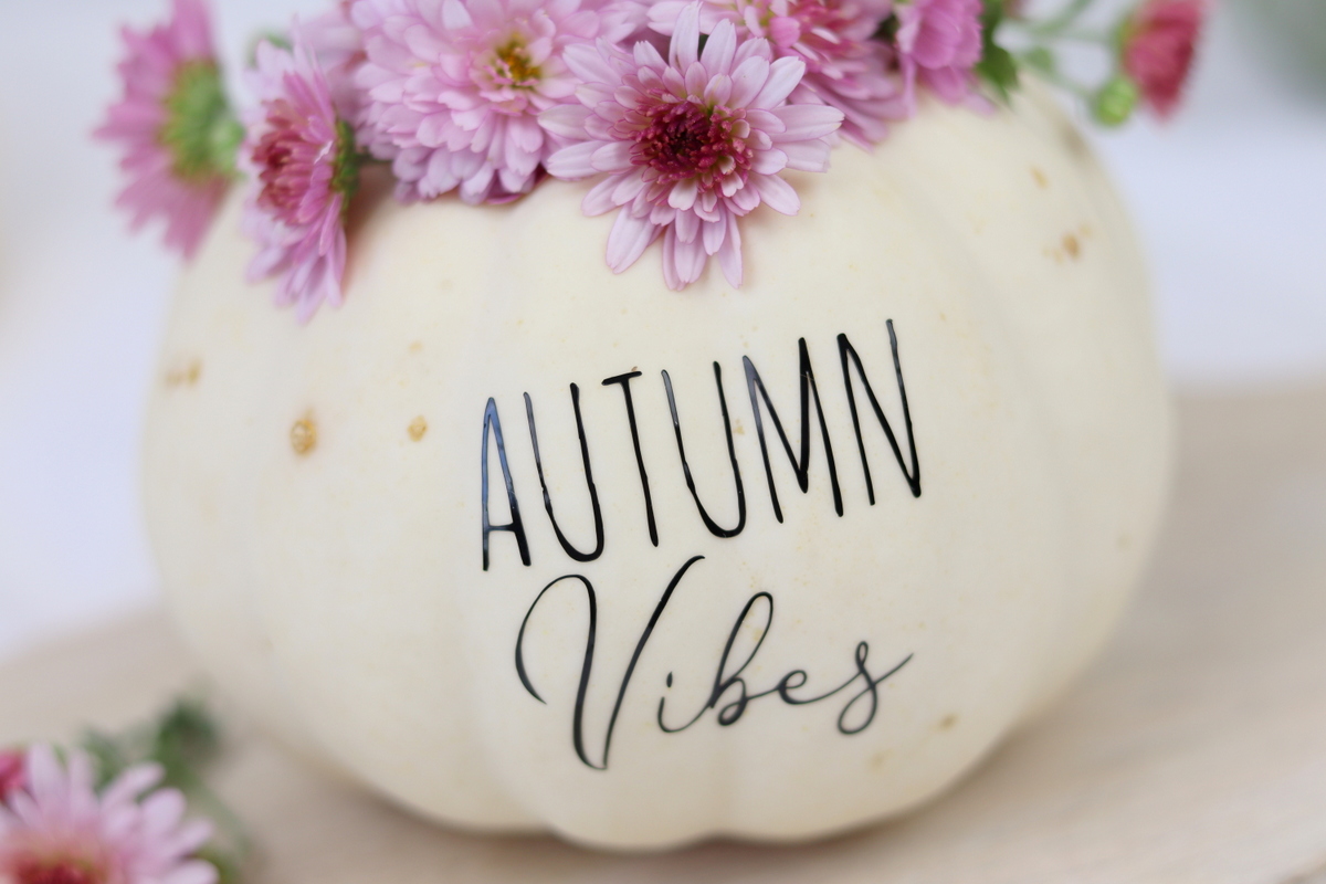 DIY Anleitung - aus einem Kürbis einen Kerzenhalter einfach selber machen und mit dem Plotter und Blumen verzieren