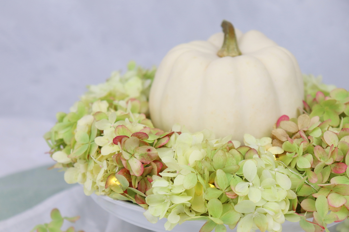 DIY Anleitung Blumenkranz aus Hortensie einfach selber machen mit Kürbis als Herbstdeko