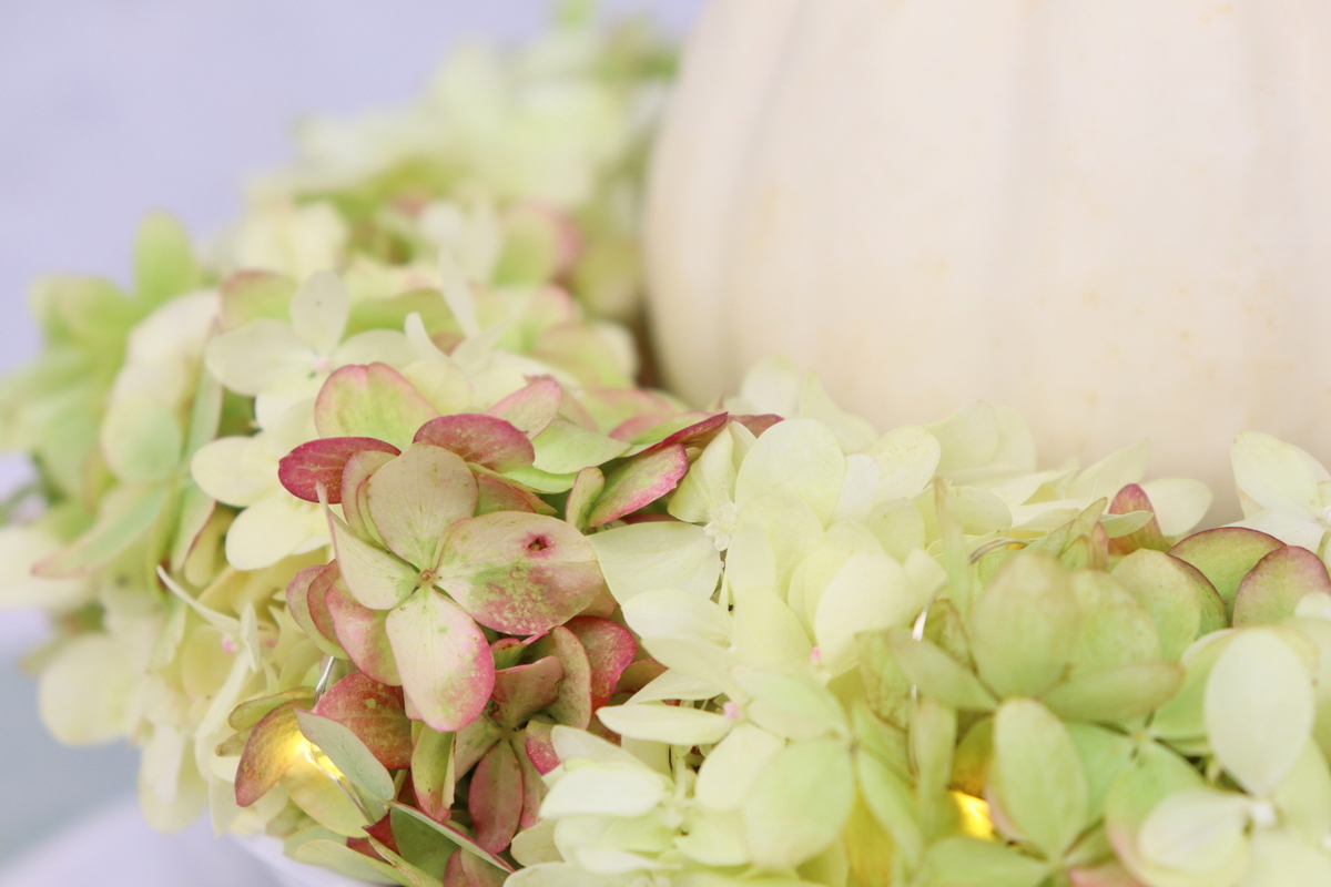 DIY Anleitung Blumenkranz aus Hortensie einfach selber machen mit Kürbis als Herbstdeko