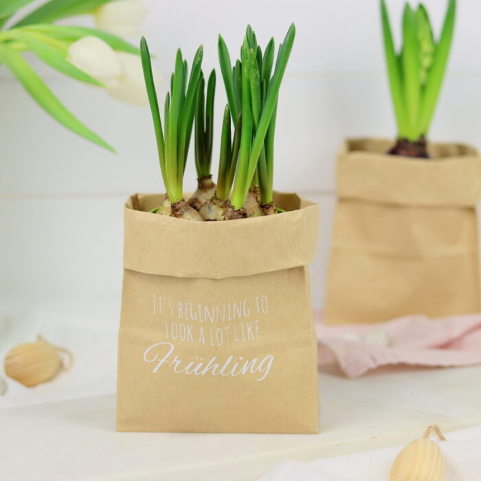 DIY - selbstgemachter Blumentopf aus einer Papiertüte als Geschenkverpackung mit dem Plotter