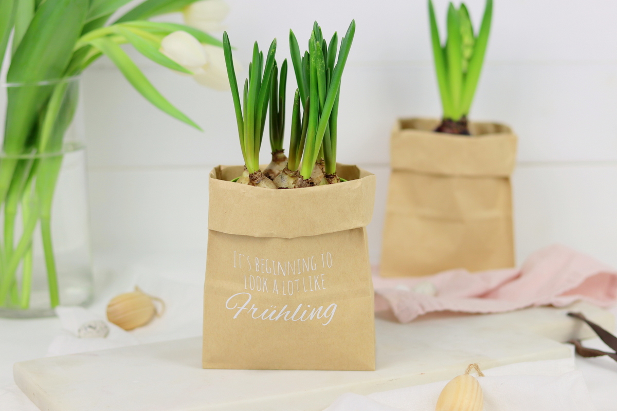 DIY - selbstgemachter Blumentopf aus einer Papiertüte als Geschenkverpackung mit dem Plotter