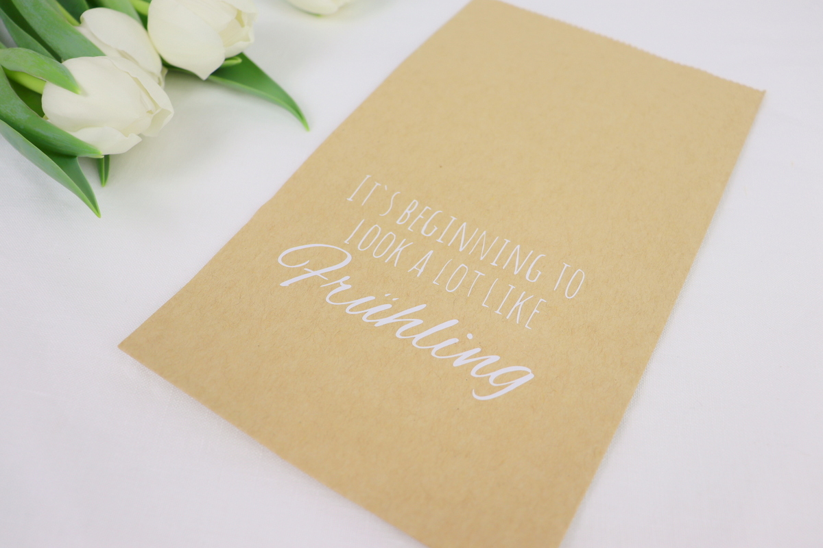 DIY - selbstgemachter Blumentopf aus einer Papiertüte als Geschenkverpackung mit dem Plotter