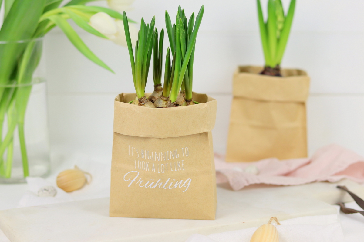 DIY - selbstgemachter Blumentopf aus einer Papiertüte als Geschenkverpackung mit dem Plotter