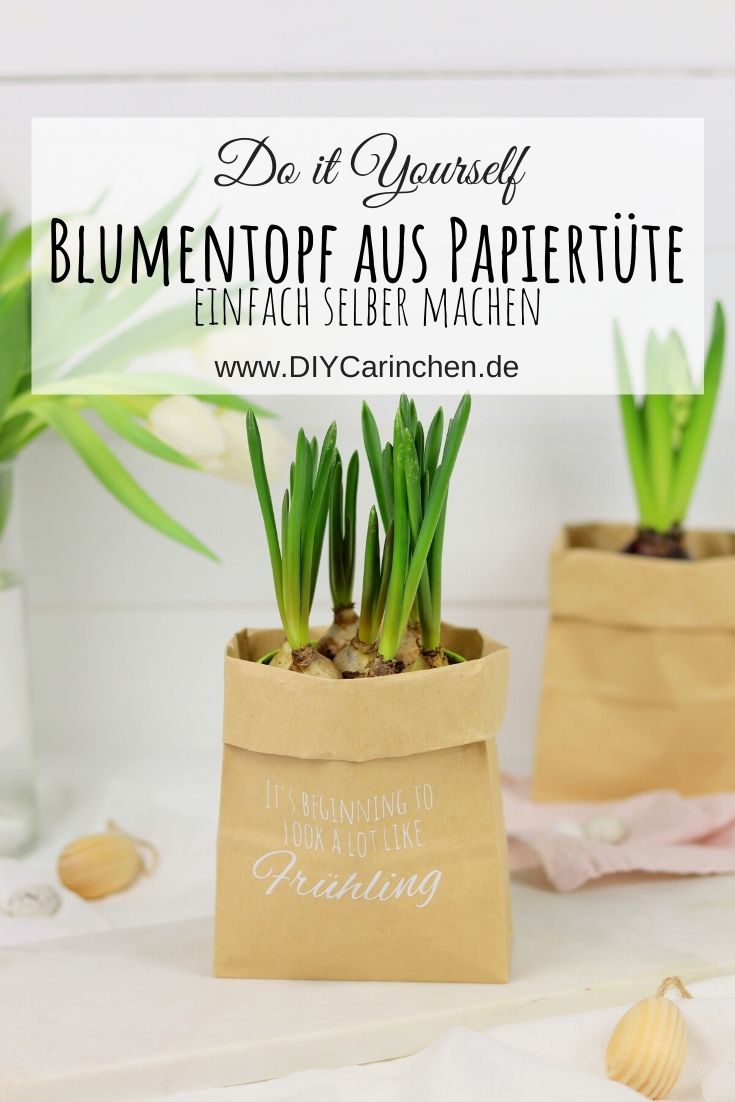 DIY - selbstgemachter Blumentopf aus einer Papiertüte als Geschenkverpackung mit dem Plotter
