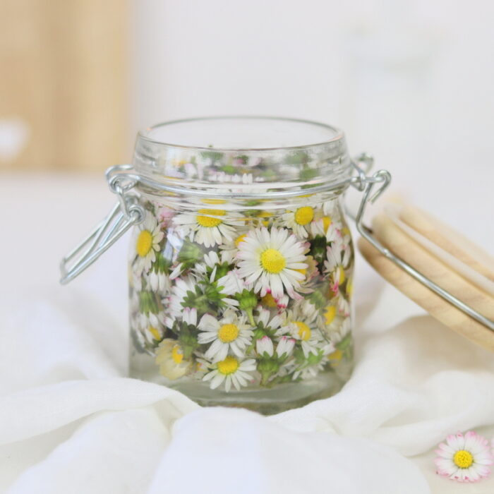 DIY / Rezept - selbstgemachte Gänseblümchen-Tinktur