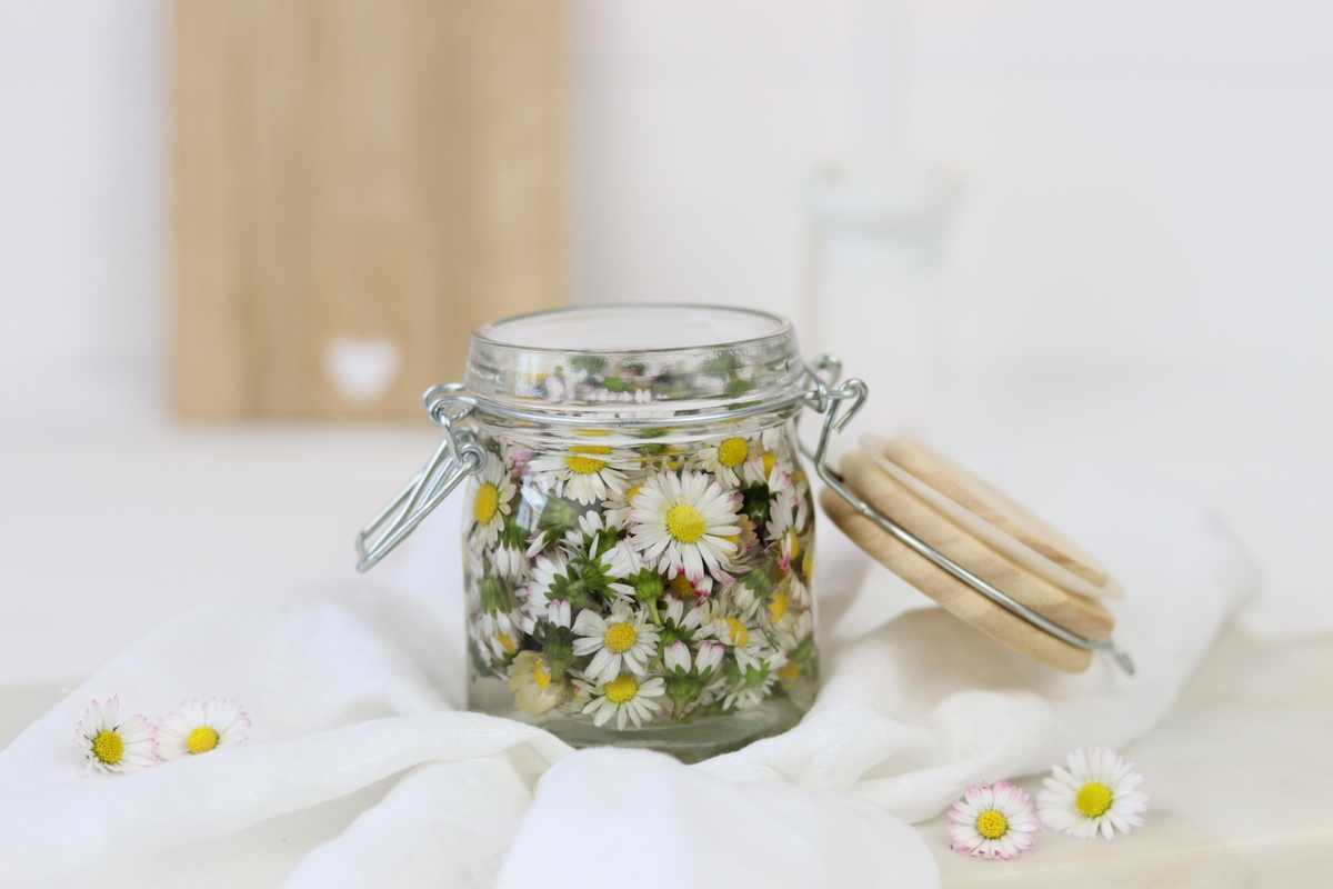 DIY / Rezept - selbstgemachte Gänseblümchen-Tinktur
