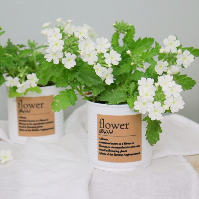 DIY - selbstgemachter Upcycling Blumentopf aus einer Konservendose mit Kreidefarbe und Etikett