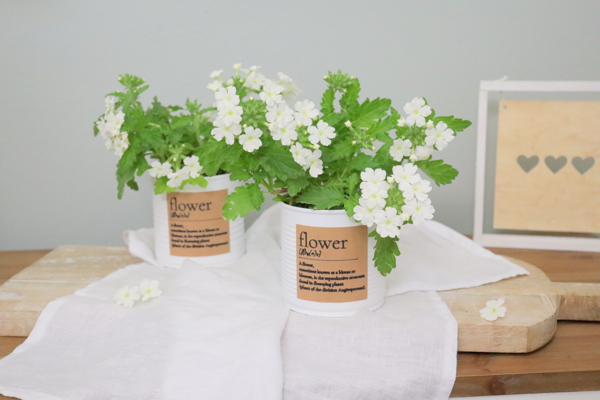 DIY - selbstgemachter Upcycling Blumentopf aus einer Konservendose mit Kreidefarbe und Etikett