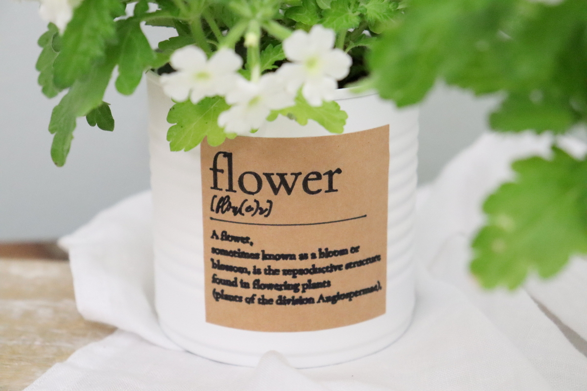 DIY - selbstgemachter Upcycling Blumentopf aus einer Konservendose mit Kreidefarbe und Etikett