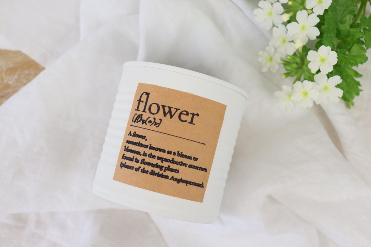 DIY - selbstgemachter Upcycling Blumentopf aus einer Konservendose mit Kreidefarbe und Etikett