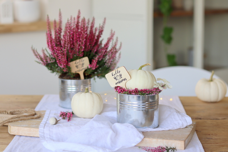 DIY - selbstgemachte Herbst-Schilder mit dem Plotter "hello autumn" für selbstgemachte Kürbisdeko in einem kleinen Topf mit Heidekrautkranz und Baby Boo Kürbis