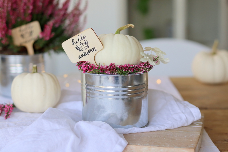 DIY - selbstgemachte Herbst-Schilder mit dem Plotter "hello autumn" für selbstgemachte Kürbisdeko in einem kleinen Topf mit Heidekrautkranz und Baby Boo Kürbis