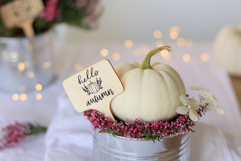 DIY - selbstgemachte Herbst-Schilder mit dem Plotter "hello autumn" für selbstgemachte Kürbisdeko in einem kleinen Topf mit Heidekrautkranz und Baby Boo Kürbis