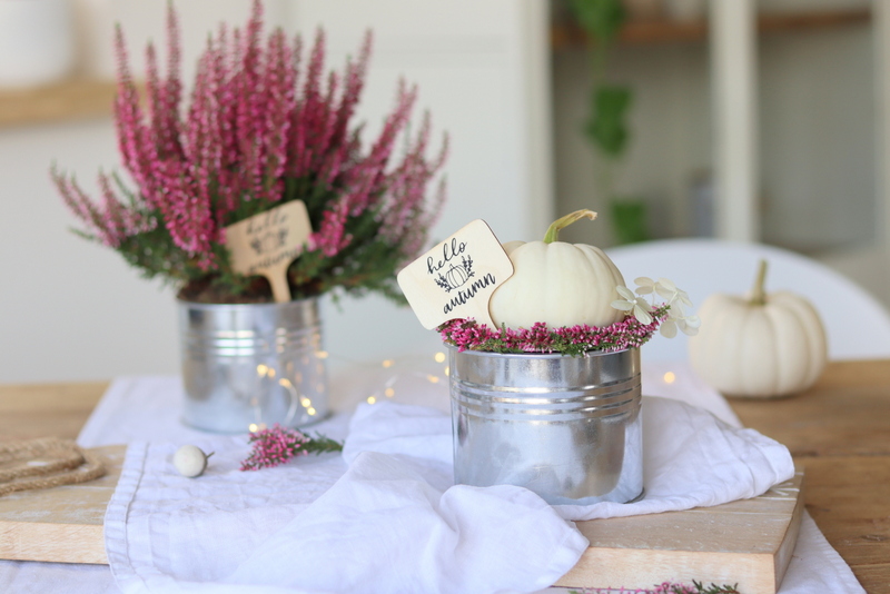 DIY - selbstgemachte Herbst-Schilder mit dem Plotter "hello autumn" für selbstgemachte Kürbisdeko in einem kleinen Topf mit Heidekrautkranz und Baby Boo Kürbis