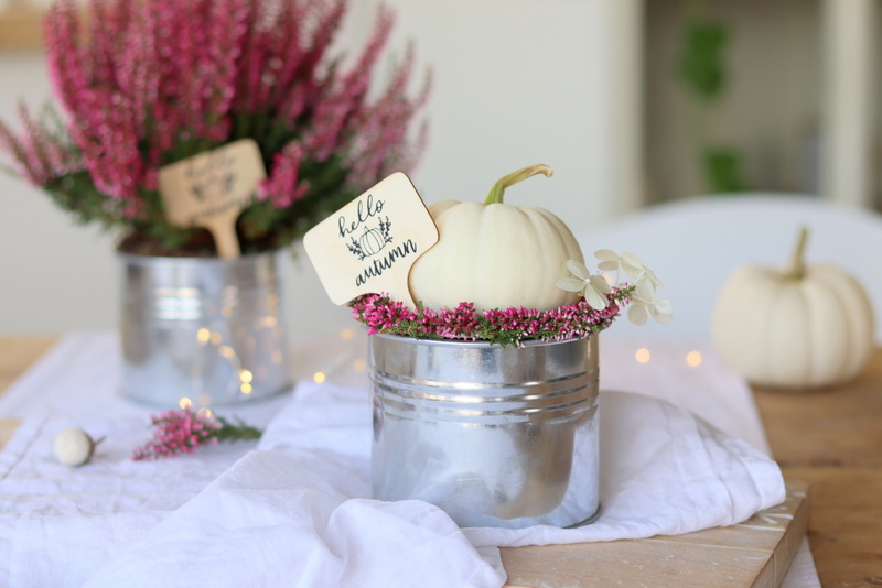 DIY - selbstgemachte Herbst-Schilder mit dem Plotter "hello autumn" für selbstgemachte Kürbisdeko in einem kleinen Topf mit Heidekrautkranz und Baby Boo Kürbis