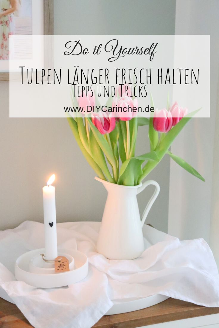 Tipps: Tulpen länger haltbar und frisch halten