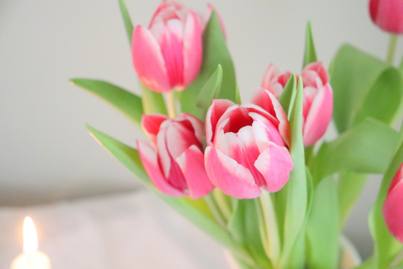 Tipps: Tulpen länger haltbar und frisch halten