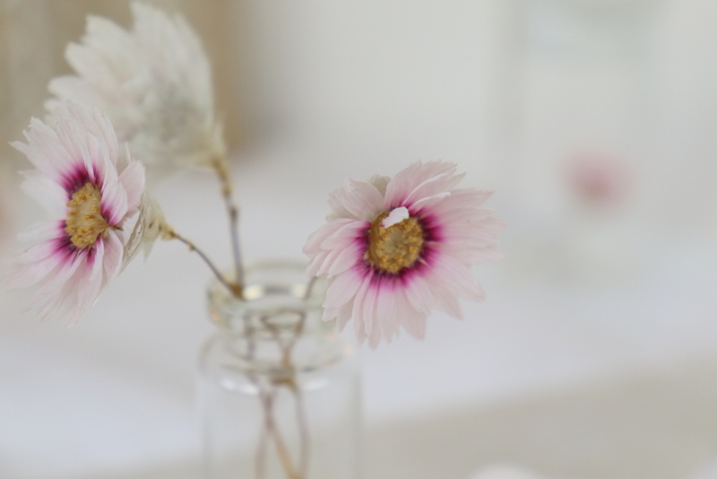 DIY Anleitung - Raysin Vogel mit Vase einfach selber machen