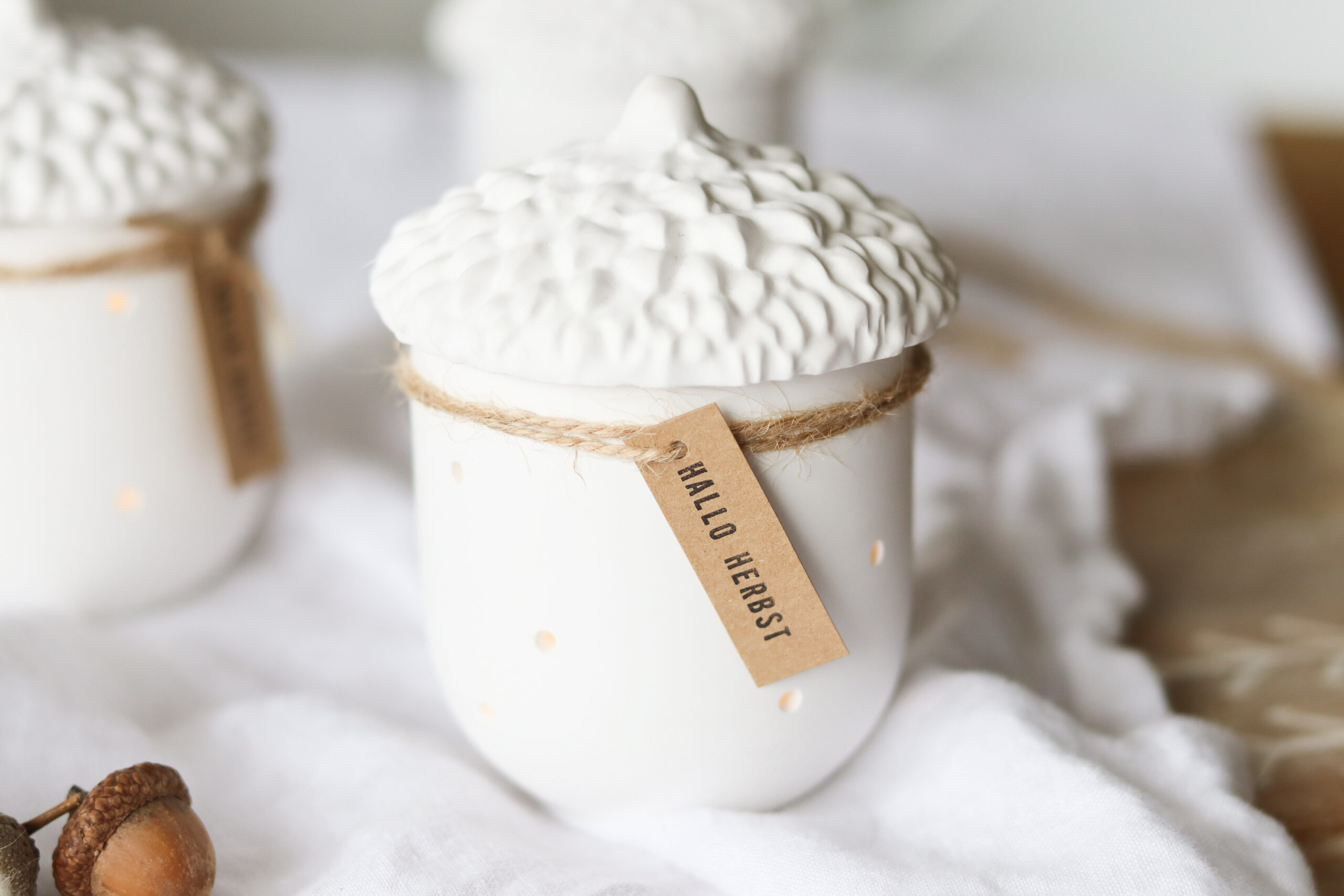 Herbstdeko selber machen: Eichel-Licht aus Raysin gießen