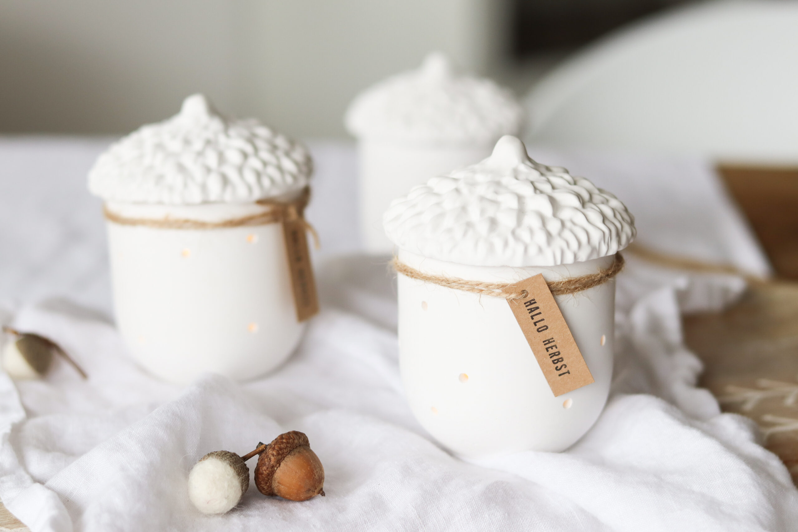 Herbstdeko selber machen: Eichel-Licht aus Raysin gießen