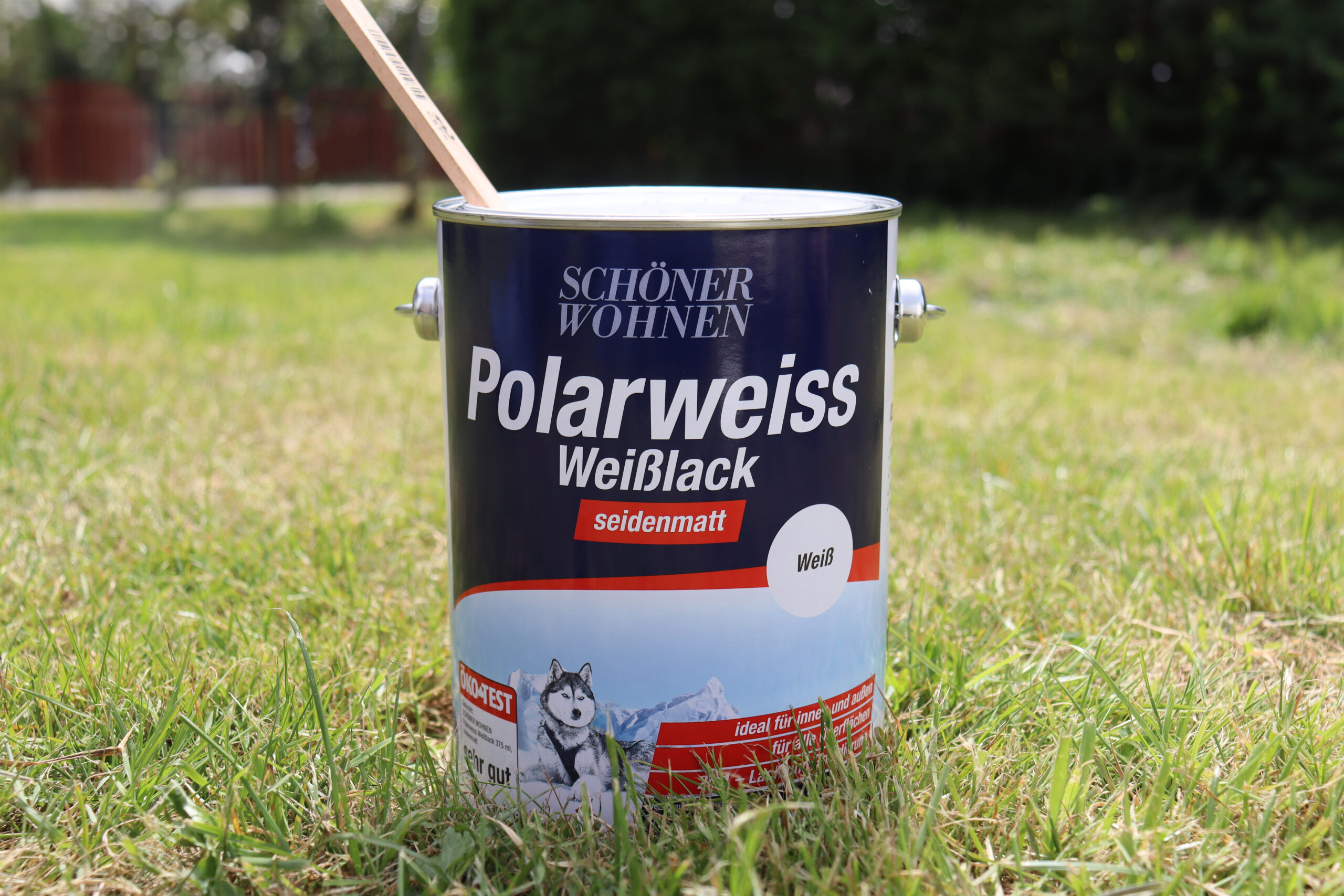 Gartenhaus Makeover: So wird Dein altes Häuschen zum Hingucker