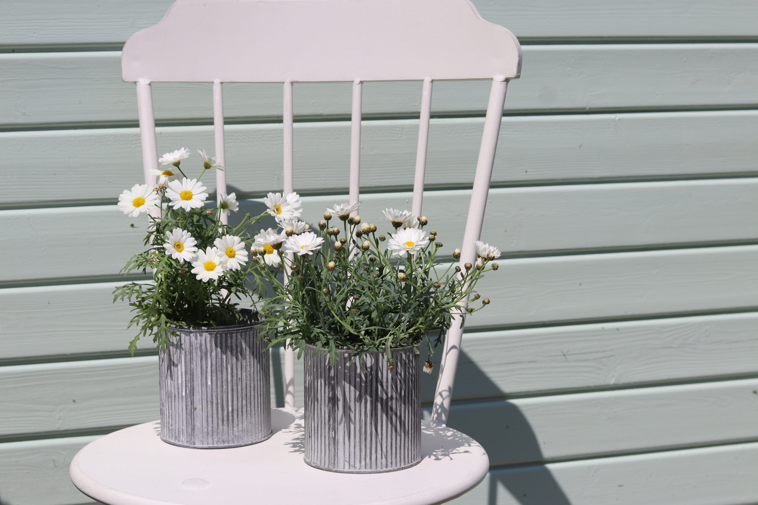 Gartenhaus Makeover: So wird Dein altes Häuschen zum Hingucker